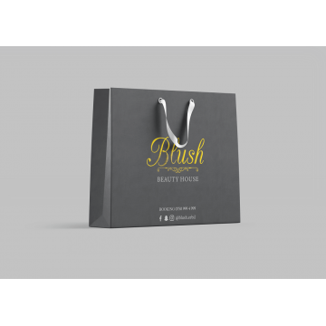 TESETTÜR KARTON ÇANTASI